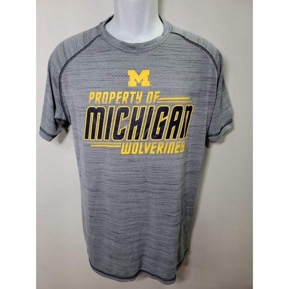 Lot of 5 Assorted Men Shirts ( 4 t-shirts, 1 sweater ) Size M (medium) - Picture 2 of 9